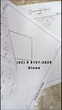 ÁREA - BUENA VISTA -  96.800 m²