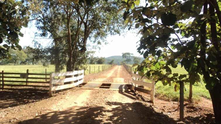 Fazenda em Nerópolis – 50 Alqueires